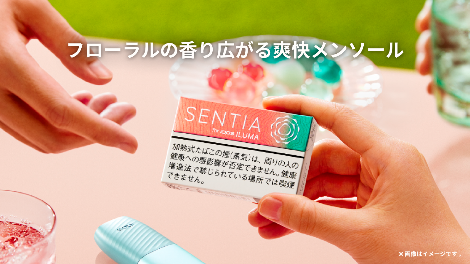 センティア フレッシュ コーラル | IQOS（アイコス）公式サイト